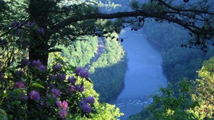 river and gorge with blooming rhododendrons