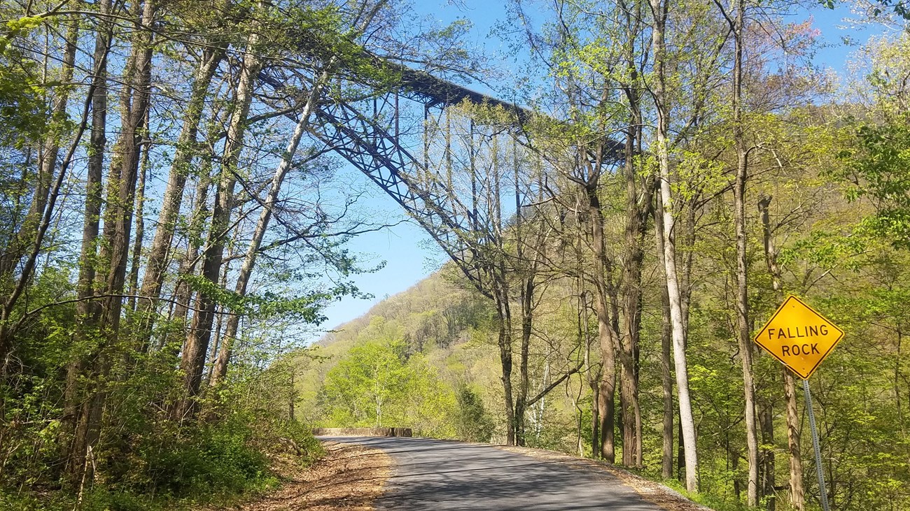 road through forest with large bridge spanning overhead
