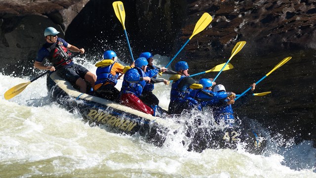 rafters paddle through whitewater