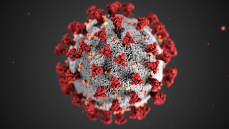 CDC coronavirus image