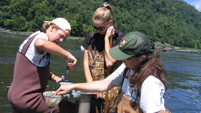 Ranger and volunteers collecting macro-invertebrates in the river