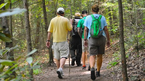 Ranger hiking with visitors on a trail