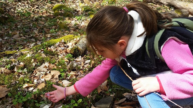 young girl examining a wildflower