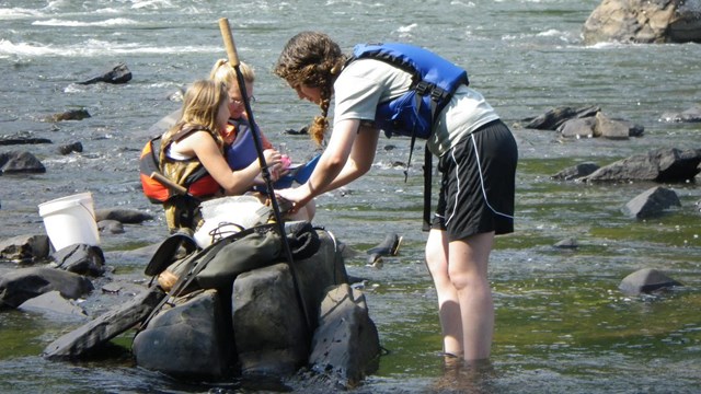 people assisting park staff with aquatic insect inventory