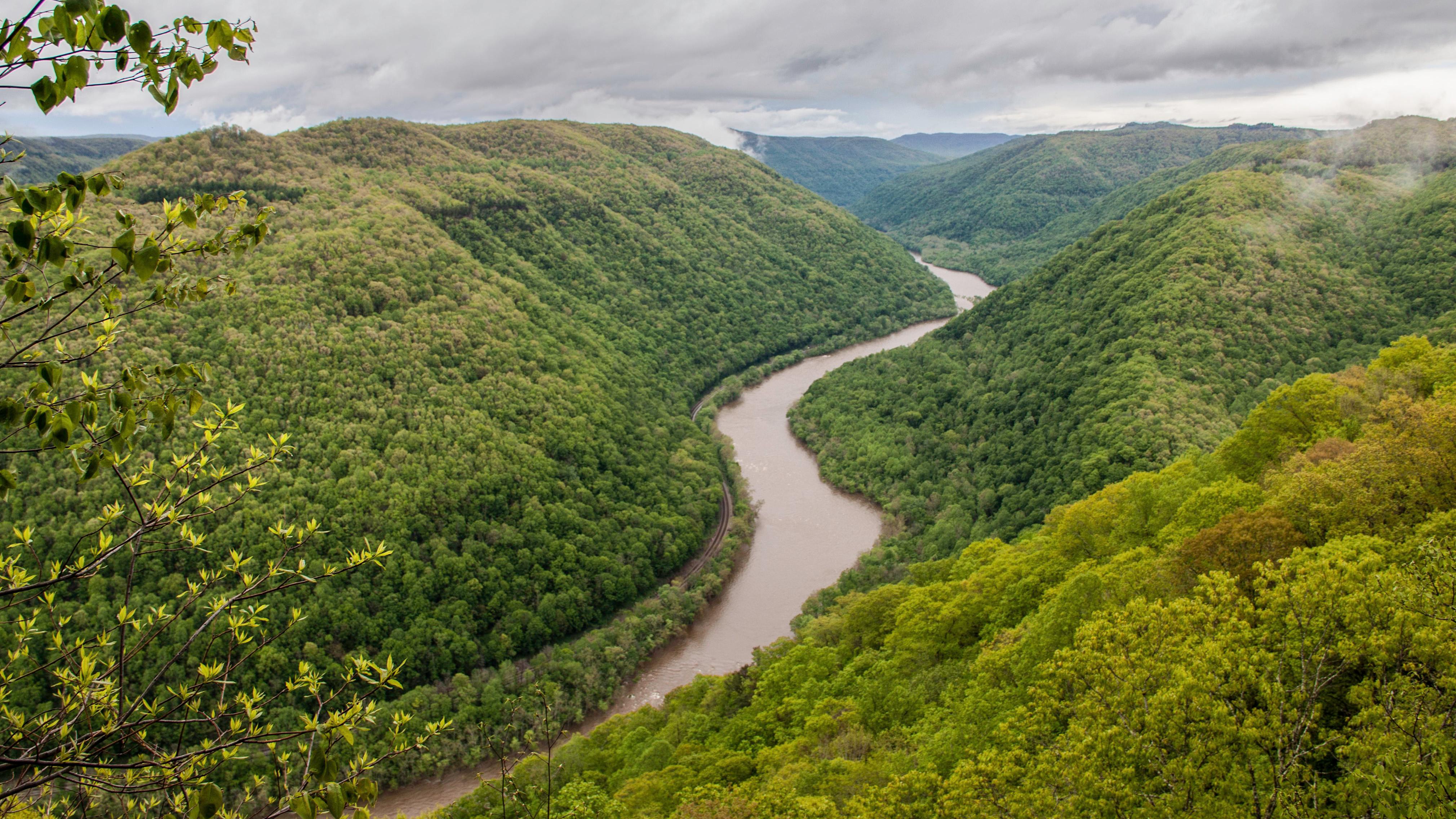 river flowing through a deep, forested gorge