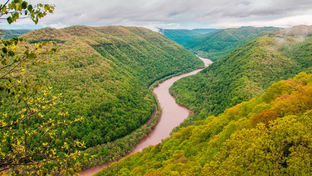 river flowing through a deep, forested gorge