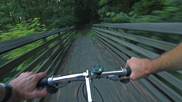 hands gripping the handlebars of a mountain bike on a trail