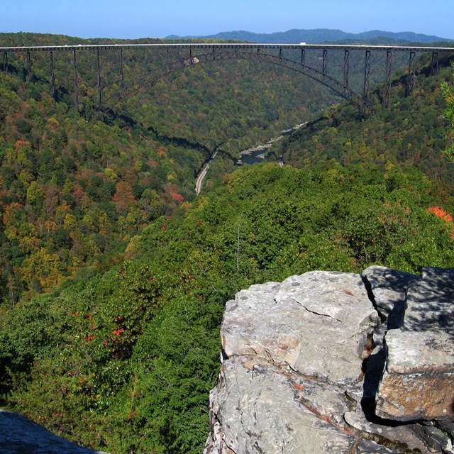 view of bridge spanning a deep, forested river gorge