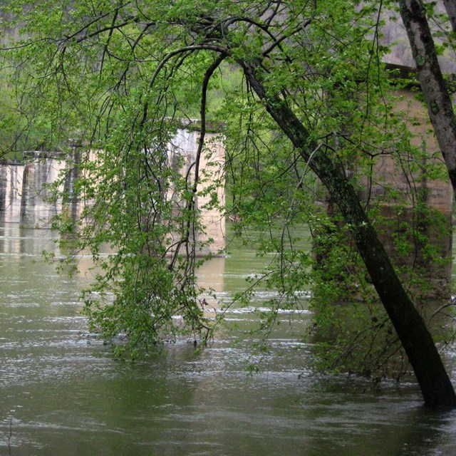 bridge piers crossing a wide river