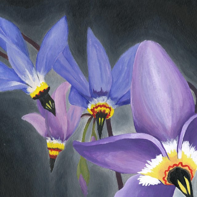 wildflower painting