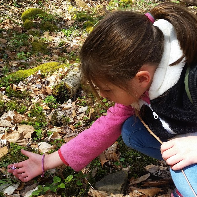 young girl examining a wildflower