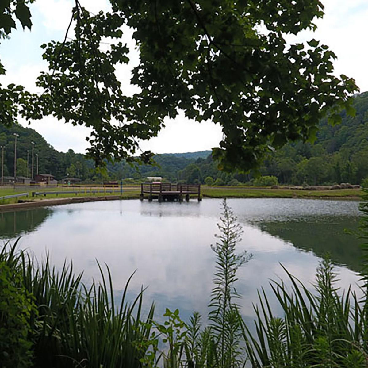 pond with dock and small wood buildings on opposite shore