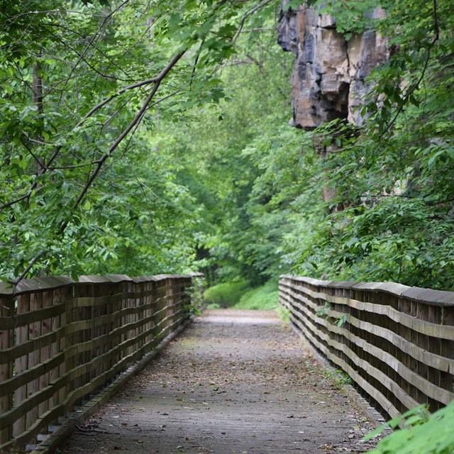 A wooden bridge on a trail surrounded by rocks and green plants