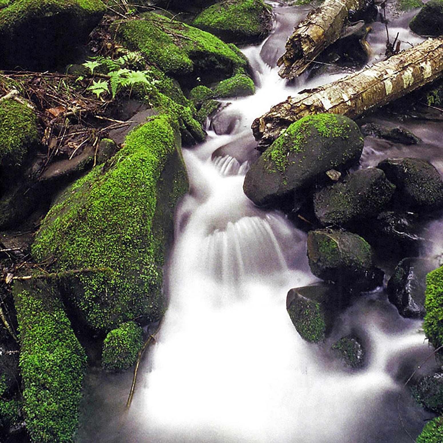 Marsh-Billings-Rockefeller NHP