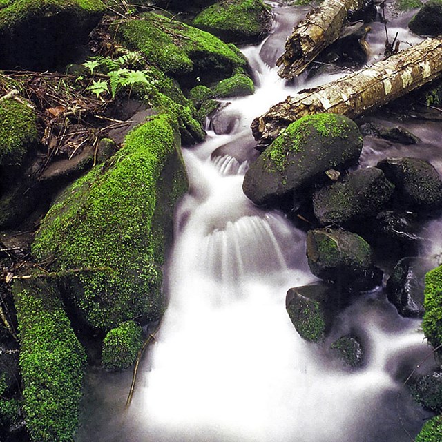 Marsh-Billings-Rockefeller NHP