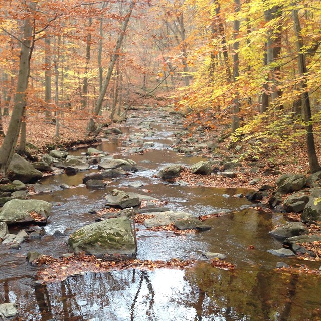 Morristown National Historical Park