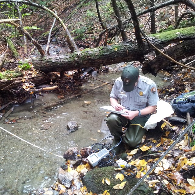 Monitoring a NH stream.