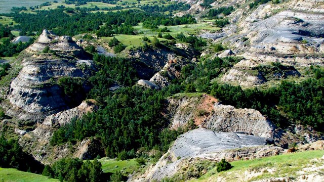 View of eroded bluffs and bare hills surounded by trees and vegetation, from the air