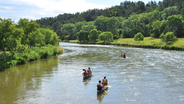 Three canoeists paddling along a calm stretch of  wide river with tree covered banks