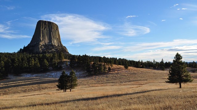view of grasslands with a few pine trees and giant rock monolith in the background