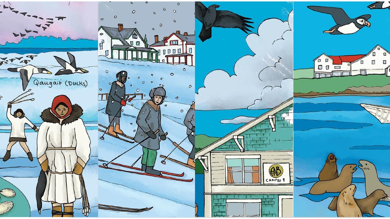 A collage of four colored line drawings depicting Alaska NHLs.