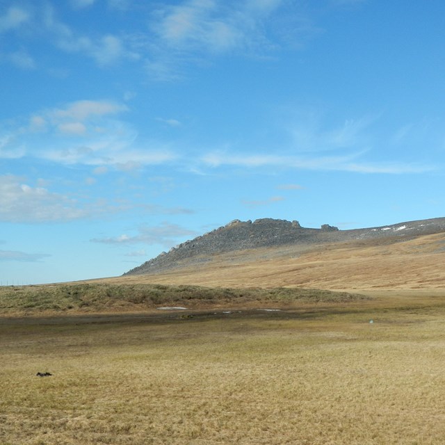A mound site on the tundra with a black rock mountain ridge in the background.