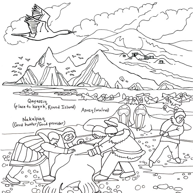 A line drawing showing several Yup’ik hunters harvesting a walrus on a rocky beach.