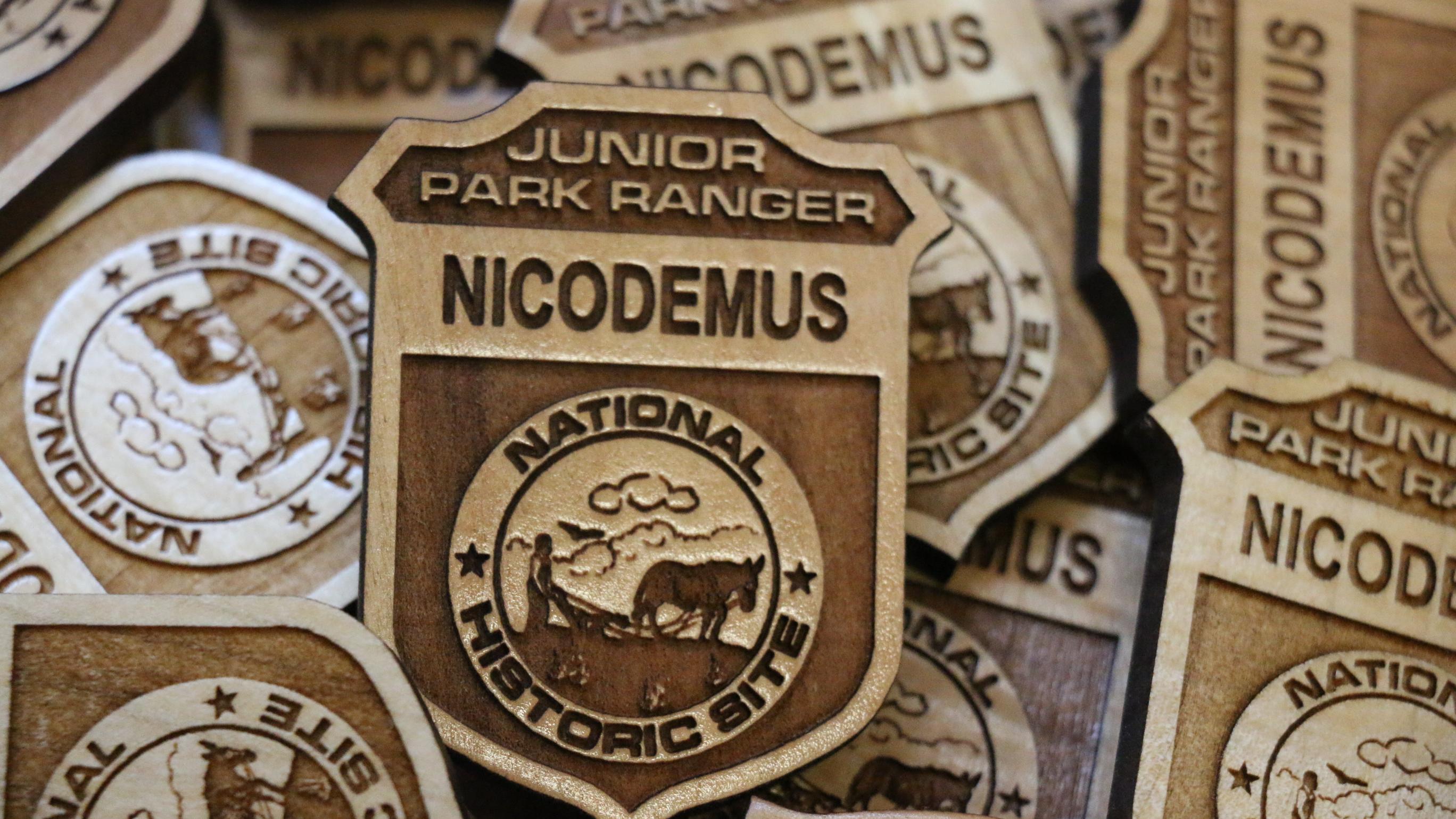 A pile of wooden badges