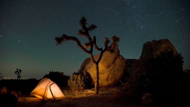 A star-filled night sky arches over a campground tent at Joshua Tree National Park.