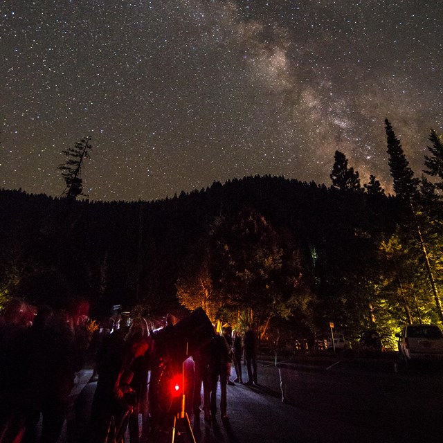 people gaze up at the milky way in the night sky