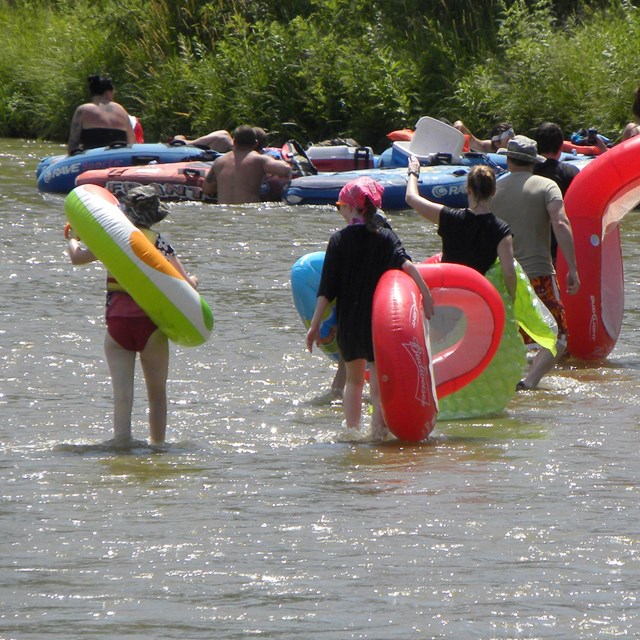 Tubers carry their tubes out of the shallow water of a river on a sunny day.