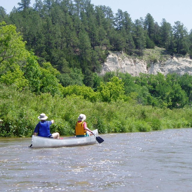 Canoers on a river with very close green banks on a sunny day