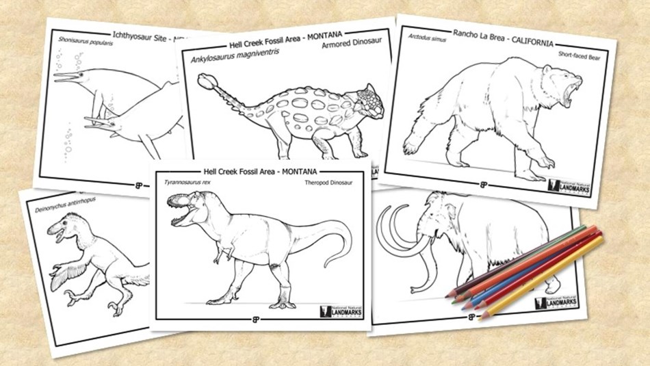 six black and white line drawings of prehistoric dinosaurs and mammals and colored pencils