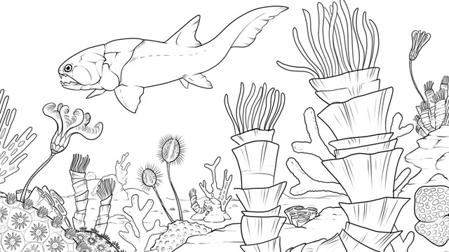 blank coloring sheet of a prehistoric coral reef
