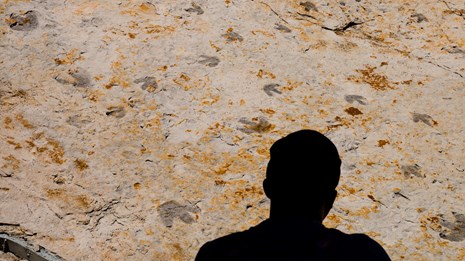 a silhouette of a person in the foreground with a wall of tracks in the background