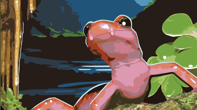 Artwork of salamander in cave entrance