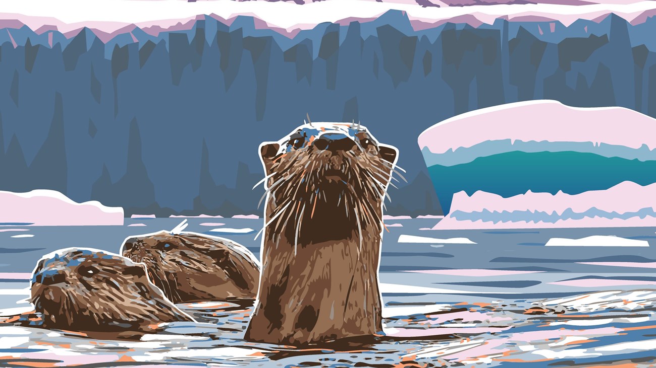 drawing of otters in glacial water