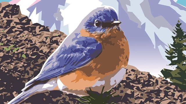 artwork of a bluebird on the ground with a volcano in the background
