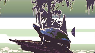 artwork of a turtle on a log in a swamp