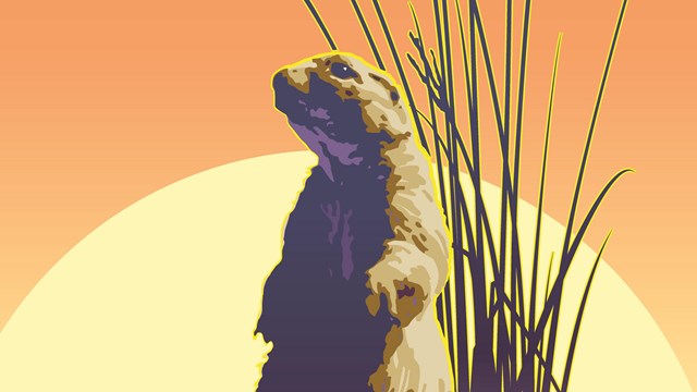 artwork of a prairie dog standing upright on a mound with a sunset in the background