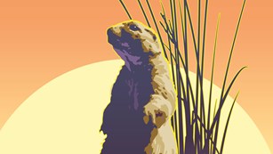 artwork of a prairie dog standing upright on a mound with a sunset in the background