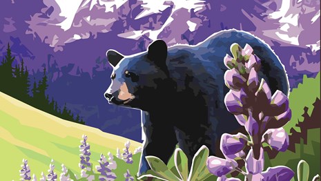 Graphic of bear with flowers and mountain in background