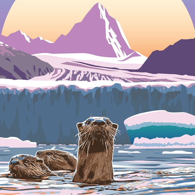 graphic drawing of two otters swimming with mountain and glacier in background