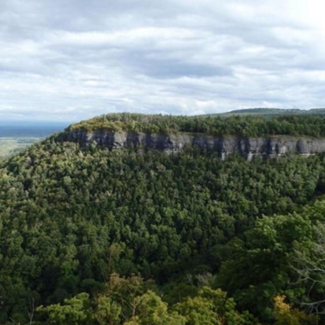 a sheer rocky ridge near the top of a forested outcrop.