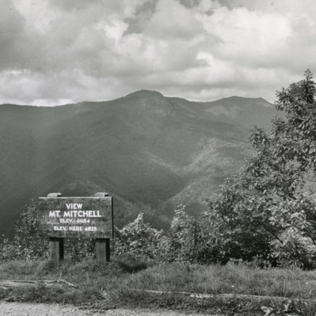 greyscale image of mountain with sign