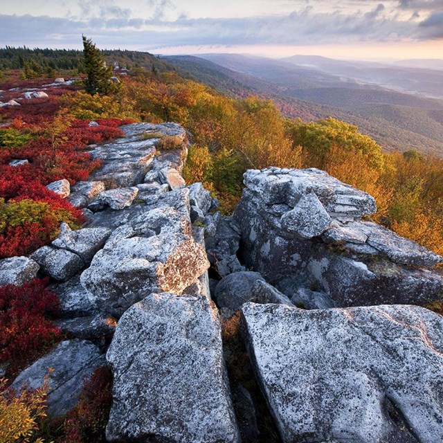 a rocky cliffside overlooking a hilly fall landscape