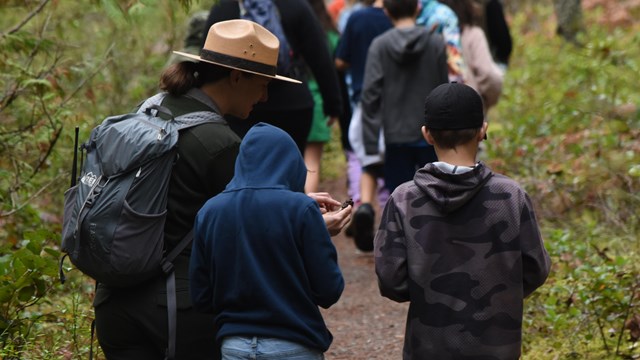 A ranger walks down a path with two students and shows them a cone from a Douglas fir tree.