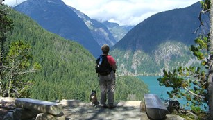A person and dog stand looking out over a lake.