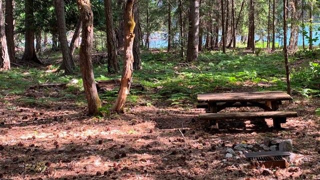 A wooden picnic table sits in a campsite with trees and lake in the background. 