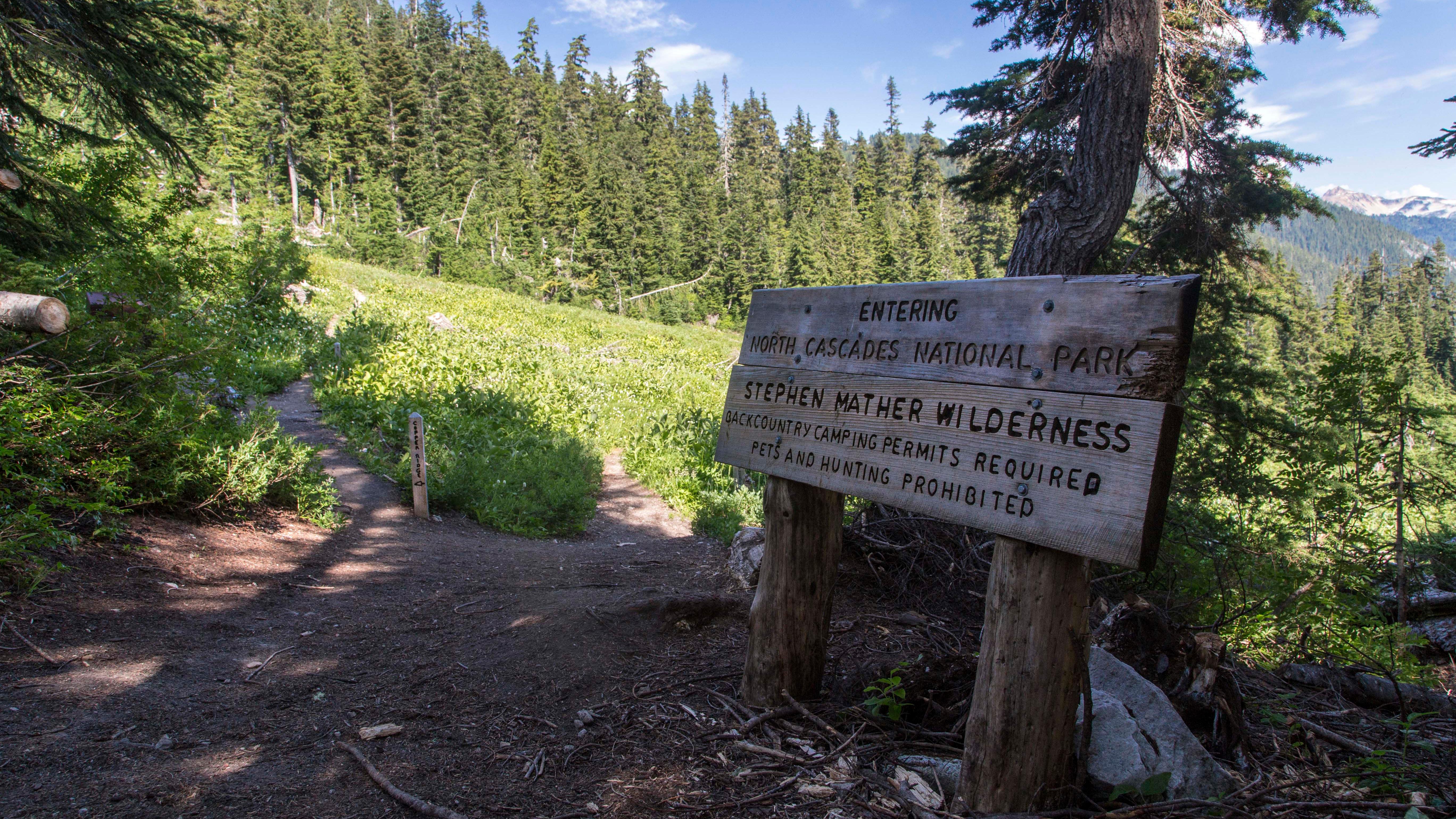 A wooden sign with pine trees in the distance 